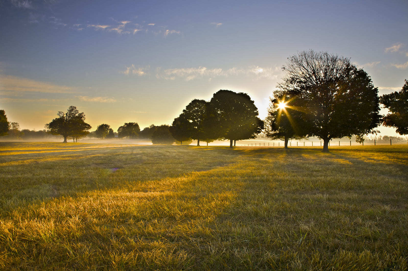 Sun rising over trees in a field in the Kentucky countryside